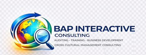 BAP Interactive Consulting